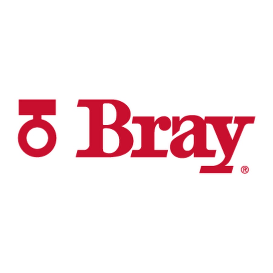 Bray International Logo
